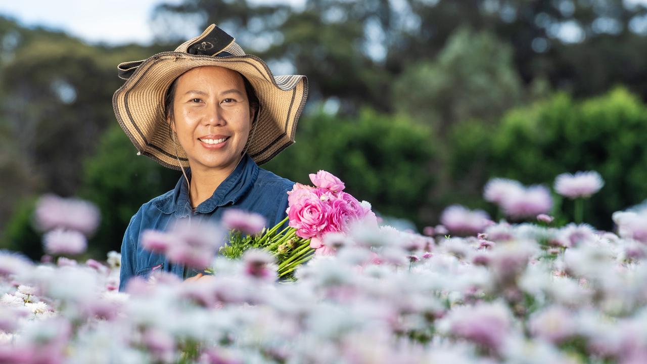 How this small backyard blossomed into a profitable flower farm