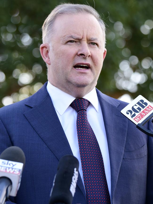 Anthony Albanese. Picture: AAP