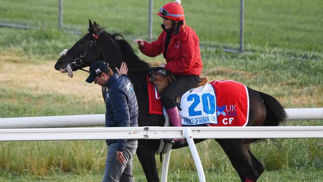 Trainer Charlie Fellowes walks beside Natasha Eaton riding Prince of Arran during a trackwork session at Werribee Racecourse. Picture: AAP Image/Vince Caligiuri