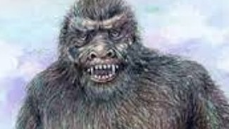 An artist impression of a very hairy yowie — not the sort of fellow you would invite to a candlelit dinner.