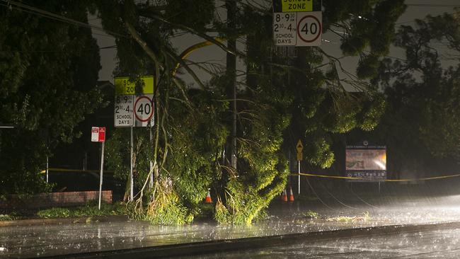 A broken tree branch rests on power wires as a result of bad weather at the intersection of Liverpool Rd and Frances Ave. Picture: Chris McKeen