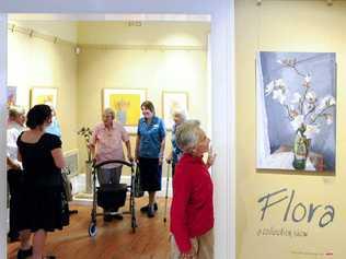 Dougherty Villa resident Elizabeth Duval inspects a painting at the Grafton Regional Gallery as part of Seniors Week. 