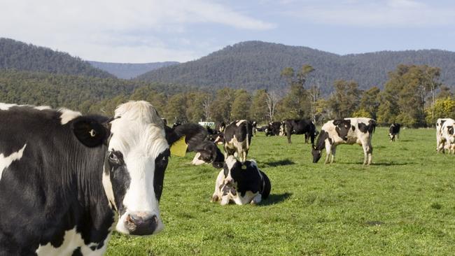 Big buyout: 25.5 per cent (401,000ha) of Tasmania’s 1.57m ha of agricultural land was foreign owned, as at June 30 last year.