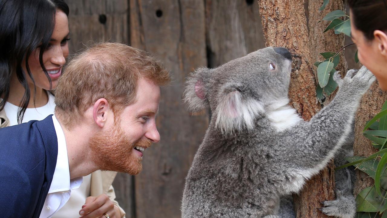 Prince Harry getting up close and personal!