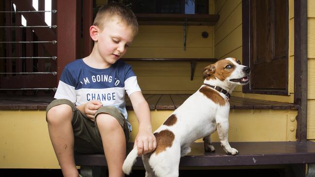 Eli Campbell with his Jack Russell Rocket at home at Agnes Waters. Picture: Lachie Millard