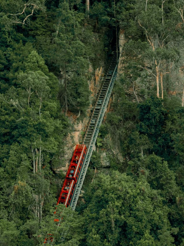 At night, you don’t realise how steep the railway is to get to Nocturnal until you see it in the daylight.