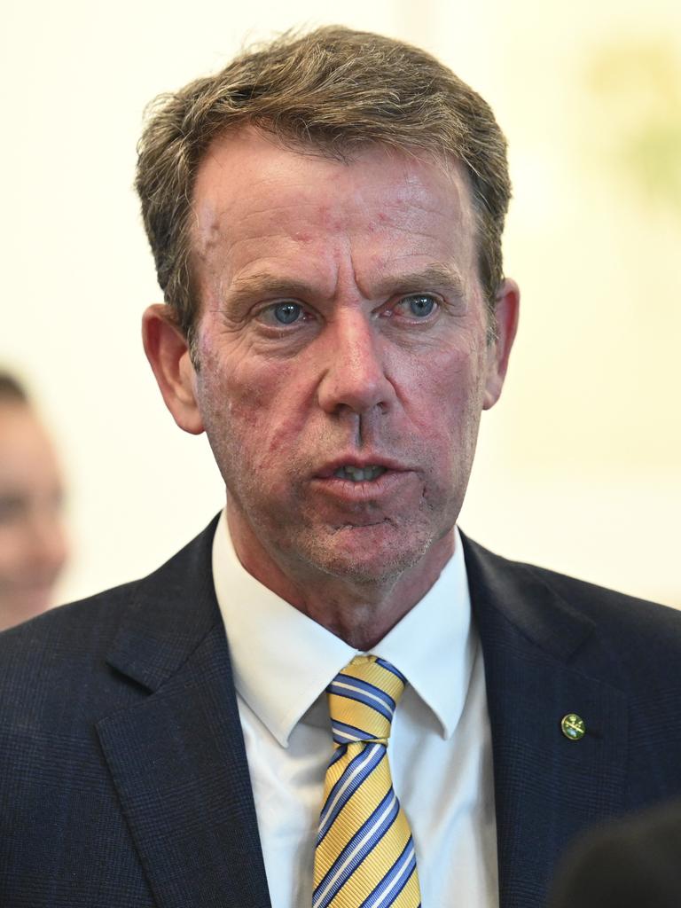 Victorian MP Dan Tehan. Picture: NewsWire / Martin Ollman