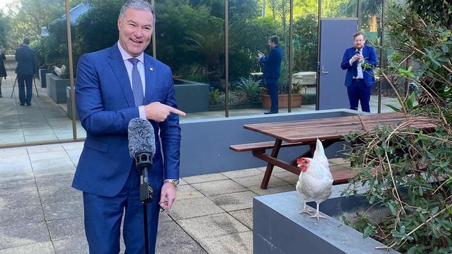 Surfers Paradise MP John-Paul Langbroek was busy feeding the chooks at Queensland parliament this week. Picture: Supplied