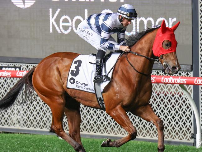 Uncommon James on the way to the barriers prior to the running of the Charter Keck Cramer Moir Stakes at Moonee Valley Racecourse on September 29, 2023 in Moonee Ponds, Australia. (Photo by George Sal/Racing Photos via Getty Images)