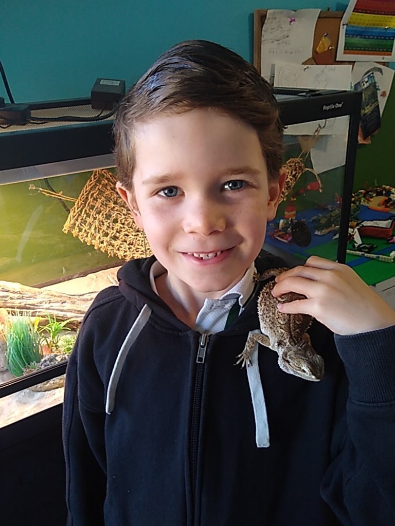 Carter is another big fan of bearded dragons. Picture: Supplied