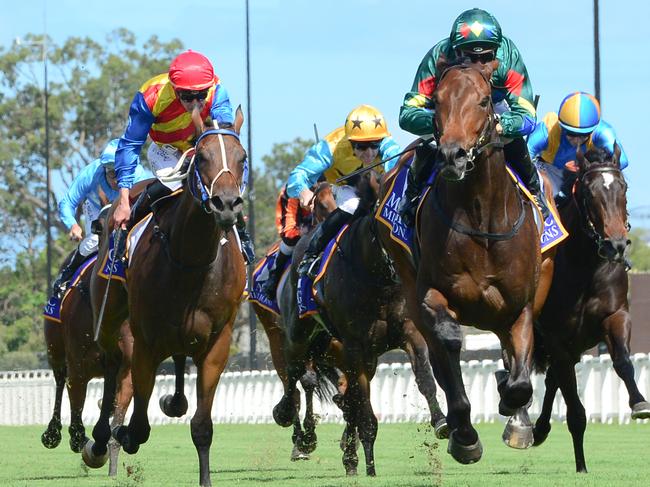 Alligator Blood winning the Vo Rogue Plate at Eagle Farm. Picture: Trackside Photography