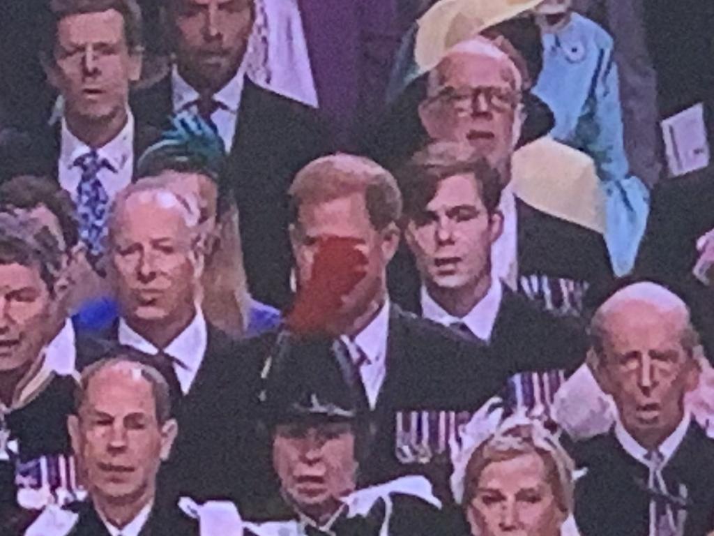 Prince Harry blocked by Princess Anne's feather hat at the coronation. Picture: Sky News