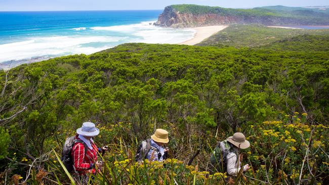 The Twelve Apostles walk. Picture: Angela Saurine.