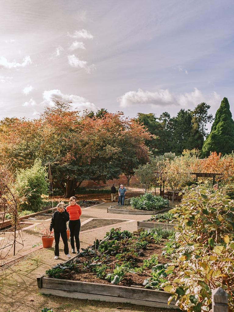 Hobart's Royal Botanical Gardens. Picture: Brand Tasmania