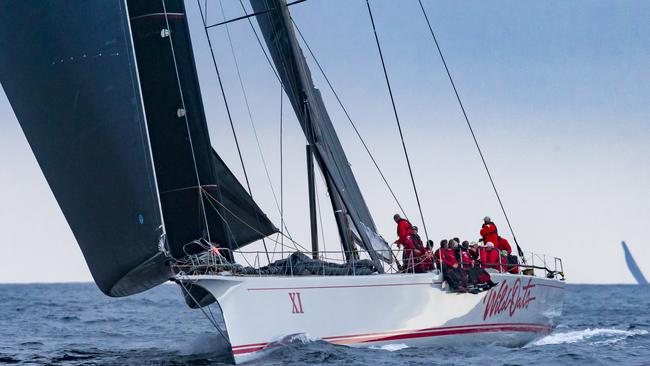 Wild Oats XI sails into Hobart. Picture: Rolex/Studio Borlenghi