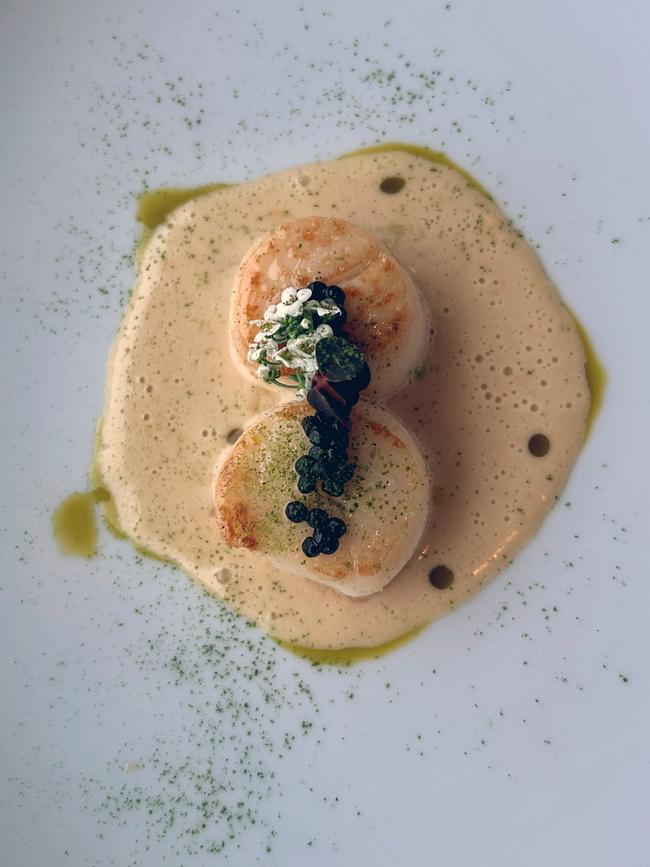Scallops at dinner at Hildring. Photo: Elizabeth Meryment