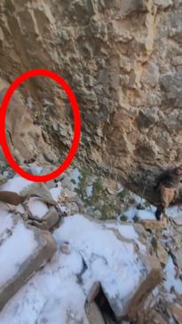 Hikers' terrifying near-miss with mountain lion