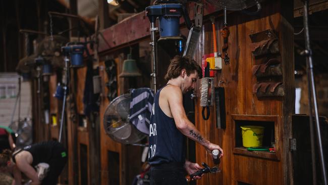 A shearer preparing for work.