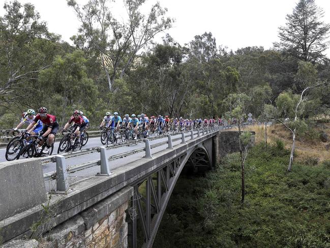 CYCLING - Tour Down Under - Subaru Stage 3 - 23/01/20 - Unley to Paracombe. The peloton makes its way over a bridge in and around Cudlee Creek Picture SARAH REED