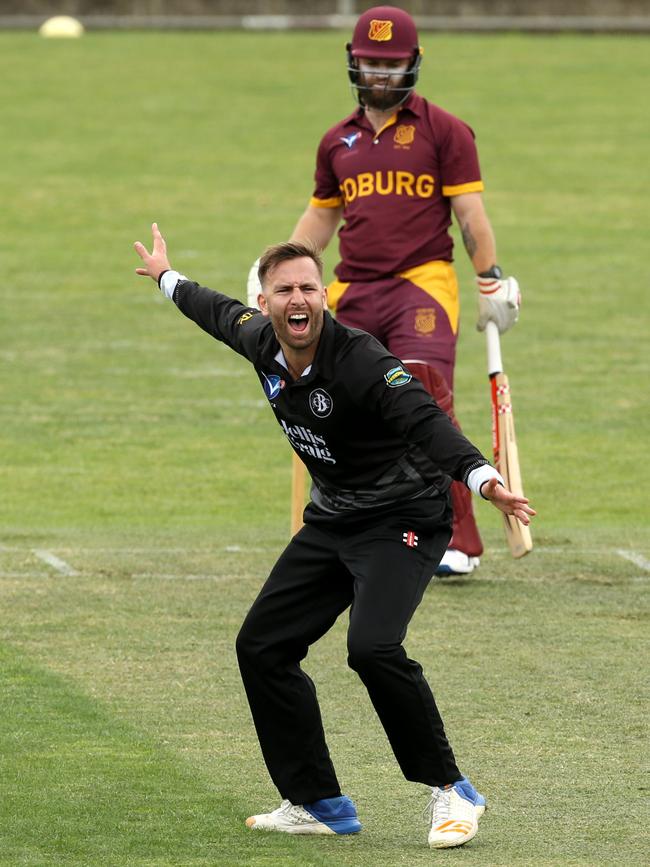 Matt Doric appeals for lbw. Picture: Stuart Milligan