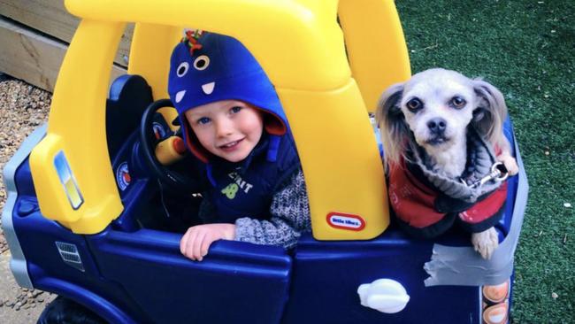 Every Aussie boy needs a ute and a dog, says Pam Waldron, from near Corowa. Pictured is her grandson Tomas Ralph, who is now 9, and Piccolo the dog. Pam says her grandson’s family are avid campers and currently in lockdown in Melbourne, desperate to come up to her farm.