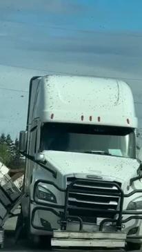 250 Million Bees Loose After Truck Crash, Sheriff's Office Says