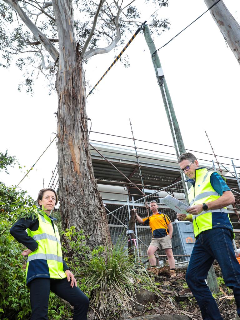 Jane Sargison, and Matthew Horsham from JSA Consultin engeinners, (at front) and Cameron Helm, builder from Bertro Homes. Hobart City Council is asking for $60 000 for the Blue Gum tree to be cut down. Picture : Mireille Merlet