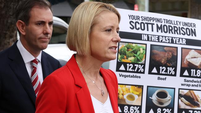 Jim Chalmers and Kristina Keneally speaking in Homebush. Picture: Liam Kidston