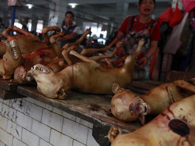 As many as 15,000 de-haired dogs were sold at the 2011 market. Picture: Humane Society International