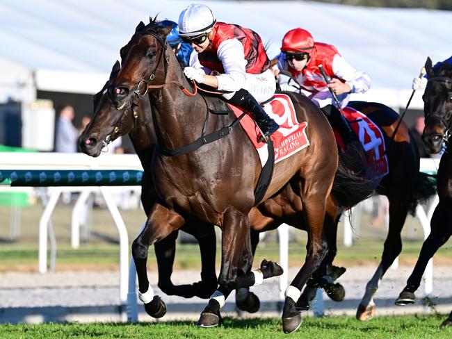 At Witz End drives clear to win the Eye Liner Stakes at Ipswich on Saturday Picture: Grant Peters