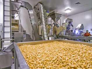 Global business giant Finasucre Group is taking another step to build its presence in the macadamia industry in Australia, entering into a partnership with New South Wales processor Macadamias Direct.