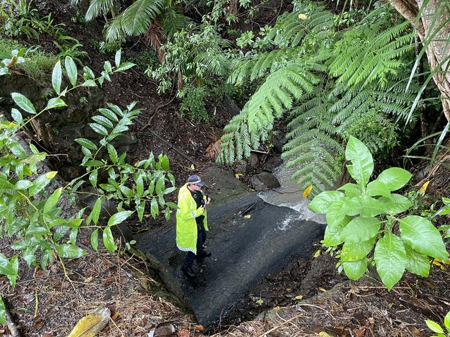 Police officers and detectives continued to search bushland and around nearby homes in Park Rd, Nambour on Sunday morning. Picture: Letea Cavander