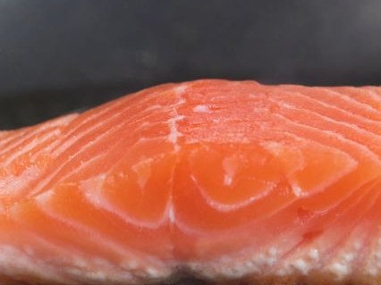 When salmon is baked in the oven, the liquid protein albumin is forced out of the muscle.