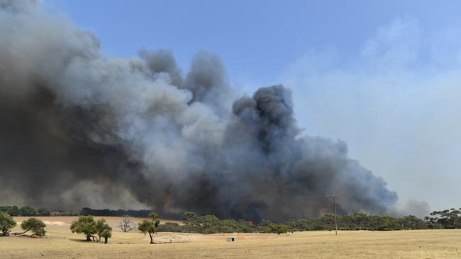 The state’s estimated smoke-related health costs surpassed $35.8m after massive fires such as this one on Kangaroo Island. Picture: AAP / David Mariuz