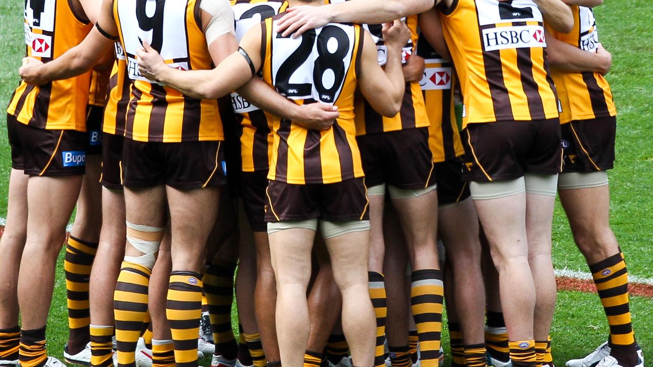 Damning allegations have been made in a racism review involving Hawthorn Football Club