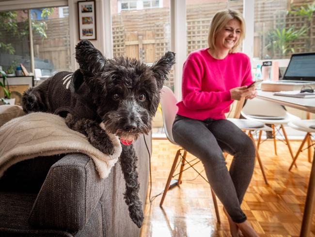 Workers are not wanting to return to the office now they have experienced working from home amid the COVID-19 pandemic. Sarah Purches and her dog Lenny plan to transition to remote work post-coronavirus. Picture: Jake Nowakowski