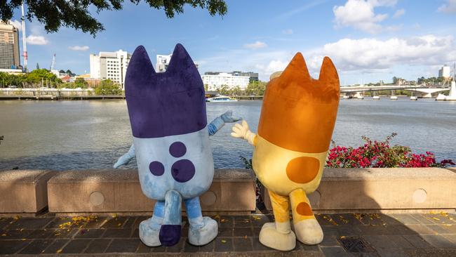 Bluey and Bingo on the banks of the Brisbane River. Picture: Peter Wallis.