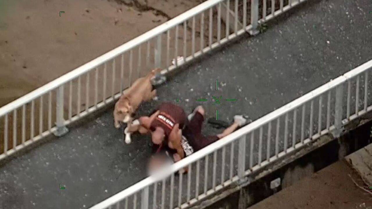 Footage Captures Dog Walker Crash-tackling Man On The Run From Police ...