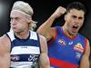 22-1: The stars who will decide Cats-Dogs showdown ranked
