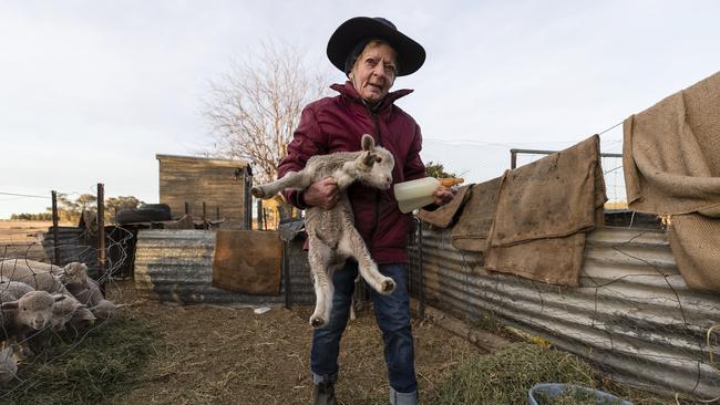 Coral Jerry, 80, is raising 40 orphaned lambs on her own, feeding them four-five times a day while her son Greg, wife Tanya and son Brett run the farm. Picture: Getty