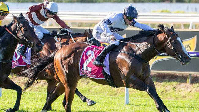 Overpass wins The Quokka. Hot Zed (brown and white) finished a close-up fifth.