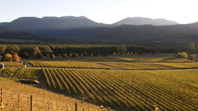 It’s nothing but rolling hills and vineyards at Feathertop Winery. Picture: Supplied