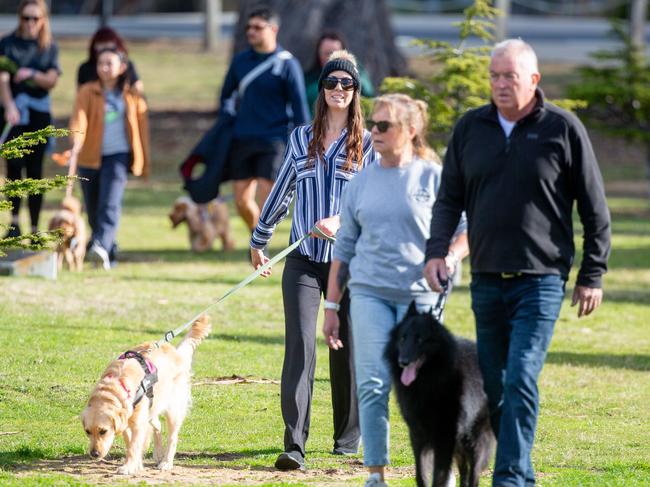 Dog walkers and their dogs at the million paws walk at Queens Domain in Hobart in Sunday 25th May 2025. Picture: Linda Higginson