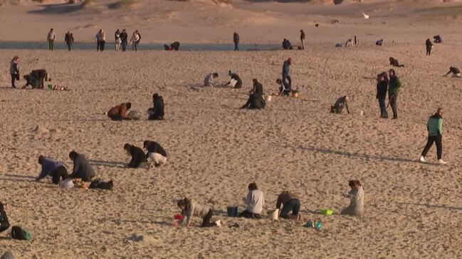 Millions of plastic pellets wash up in Spain