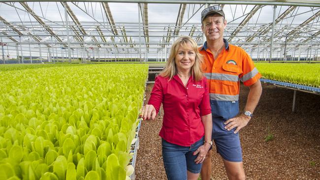 New leaf: Anthony Staatz founded Koala Farms in 1995 when he took over his family farm at Gatton in Queensland. He now runs it with wife Diane.