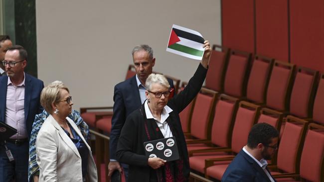 Greens Senator Janet Rice holds a picture of the Palestinian flag. Picture: NCA NewsWire / Martin Ollman