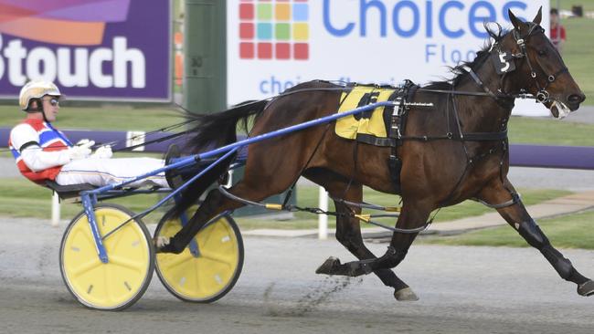 Hectorjayjay wins his third Inter Dominion heats at Gloucester Park on Friday night. Picture: Jodie Hallows