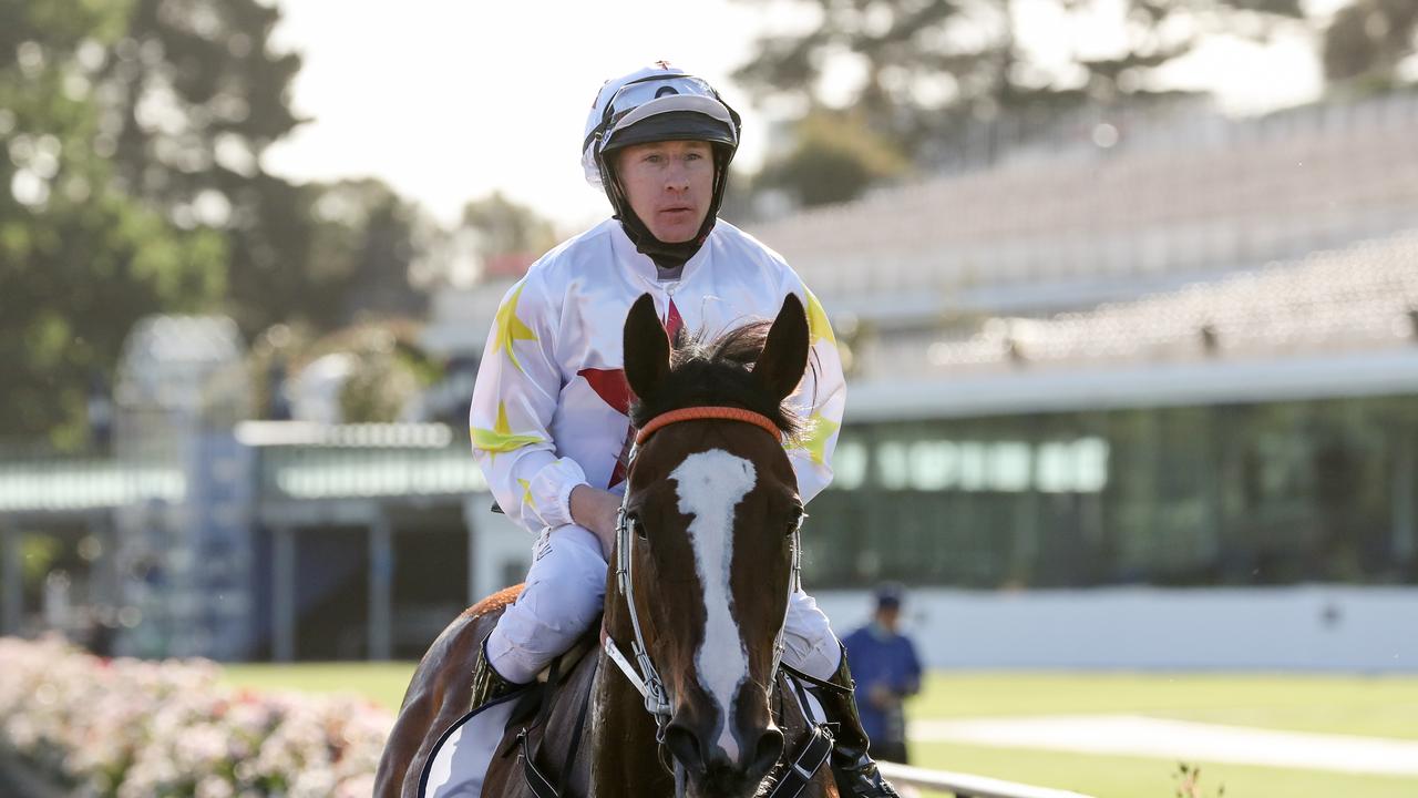 William Pike will ride Trekking in the Winterbottom Stakes. Photo: George Salpigtidis/Racing Photos via Getty Images