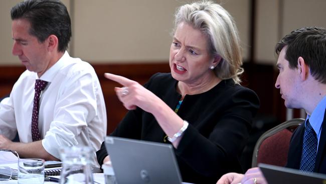 Senator Bridget McKenzie chaired a Senate committee inquiry into bilateral air rights. Picture: NCA NewsWire / John Gass