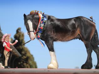 Equitana Melbourne has been cancelled for the second year in a row. Picture: Alex Coppel